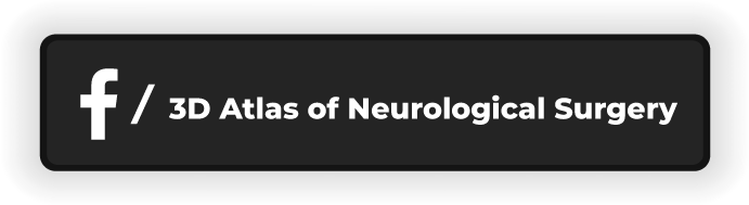 Facebook account 3d atlast neurology