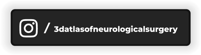 Instagram account 3d atlast neurology