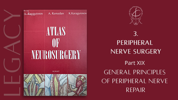 General Principles of Peripheral Nerve Repair