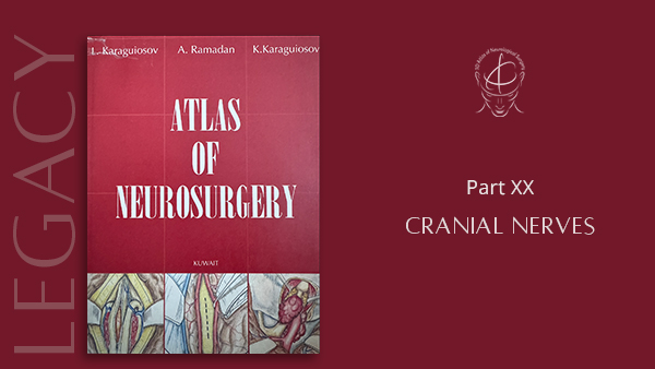 Cranial Nerves