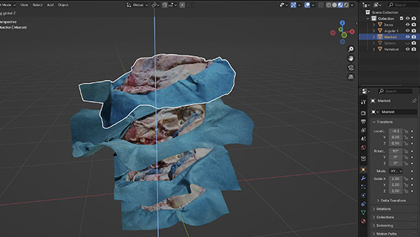 Anatomy Layer Stacker – Blender Add-on