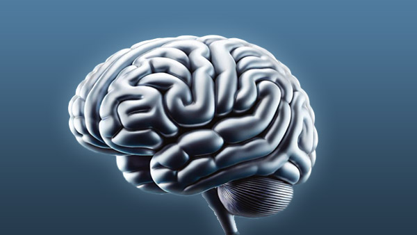 Neurosurgical Approach GPT v1.0