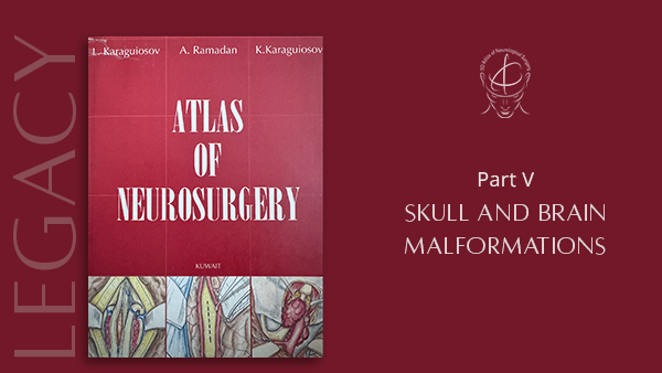 Skull and Brain Malformations